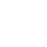 Fiscal
